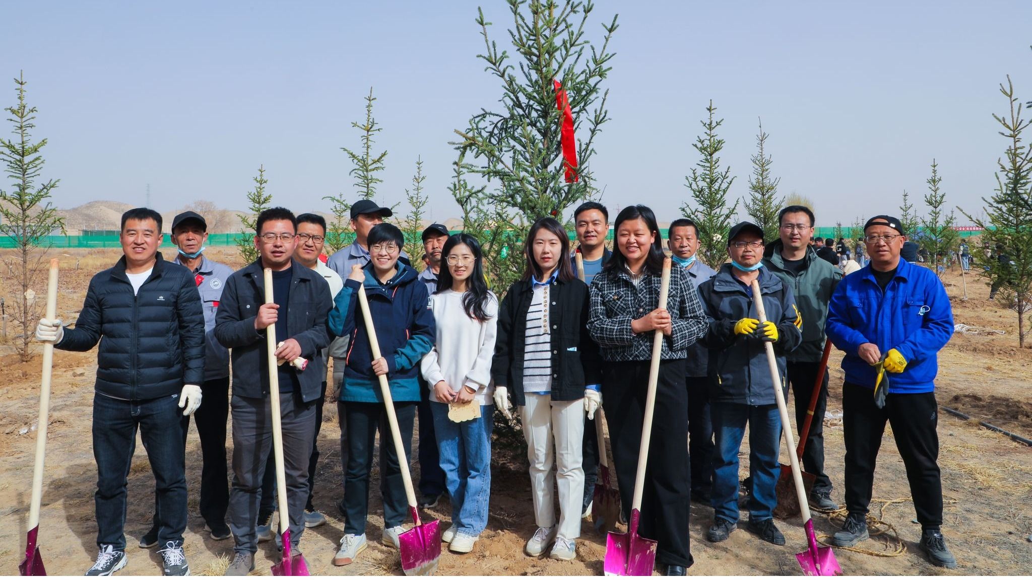 “植”此春光，“绿”动校园，beat365在线唯一官网师生携手共筑“师生林”