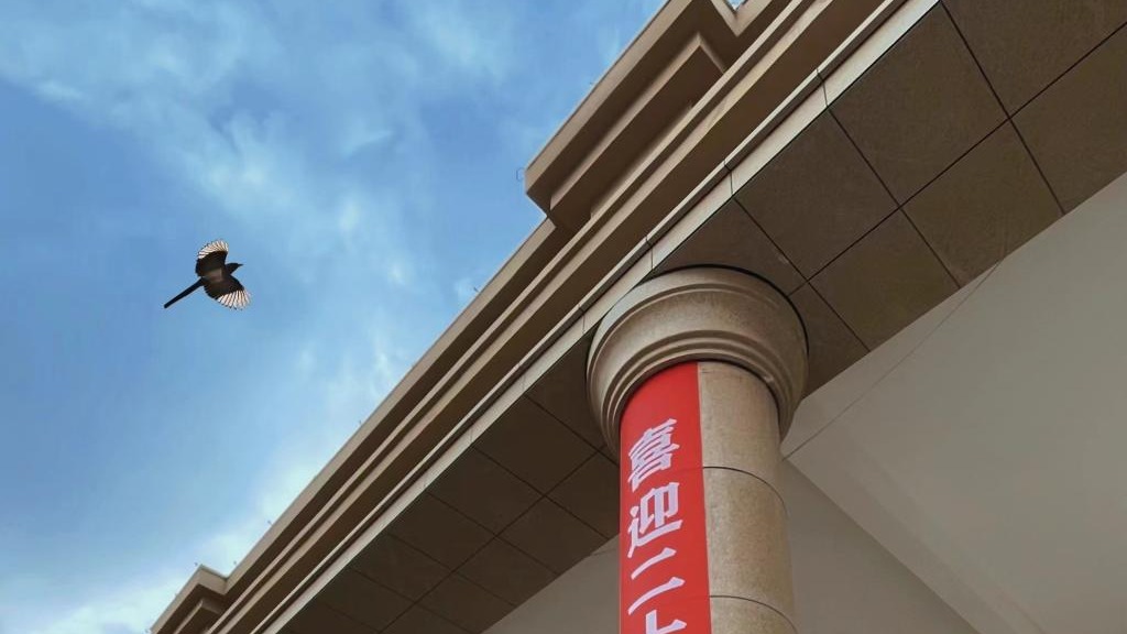 beat365在线唯一官网师生喜迎二十大（组图）