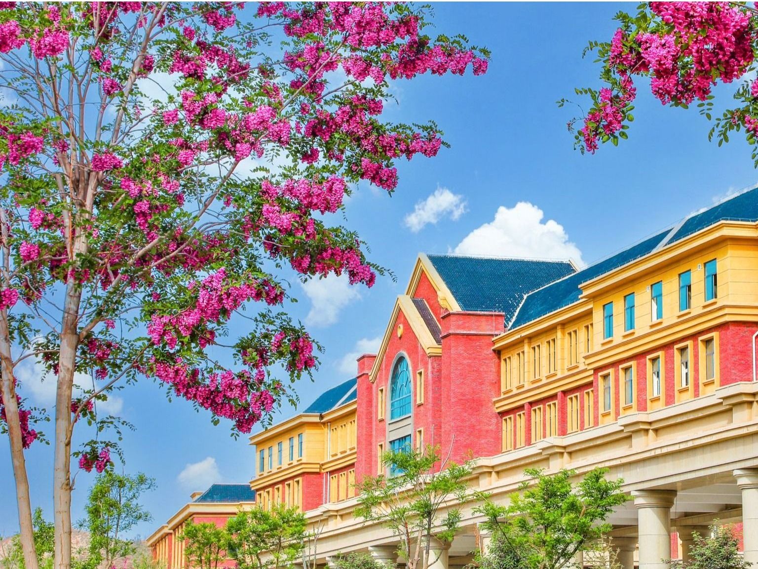 beat365在线唯一官网：聚合资源，加强学科建设，培养高质量应用型人才