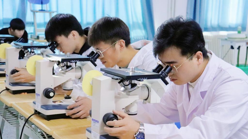 徕卡杯”第十一届全国大学生金相技能大赛决赛beat365在线唯一官网分赛场圆满落幕